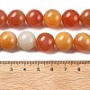 Natural Multi-Color Agate Beads Strands G-A261-B08-14mm-5