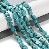 Dyed & Heated Natural Turquoise Beads Strands G-P497-01C-17-2