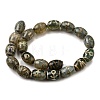 Tibetan Style dZi Beads Strands G-S389-A01-3