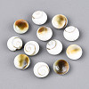 Natural Shiva Eye Shell Beads BSHE-T014-33A-1