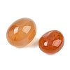 Natural Carnelian Beads GG-CBAD0F6-A02-01-3