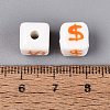 Handmade Porcelain Beads PORC-N012-13E-3