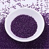 MIYUKI Delica Beads X-SEED-J020-DB0281-2