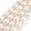 Natural Cultured Freshwater Pearl Beads Strands PEAR-P062-10I-2