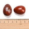 Natural Red Jasper Egg Stone GG-L654-H02-06-3