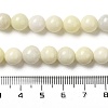 Natural Jade Beads Strands G-H298-A04-03-5