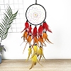 Cotton Woven Net/Web with Feather Hanging Decorations PW-WGB1C4D-01-1