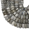 Natural Labradorite Beads Strands G-L654-I05-01-4