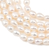 Natural Cultured Freshwater Pearl Beads Strands PEAR-F020-15-4