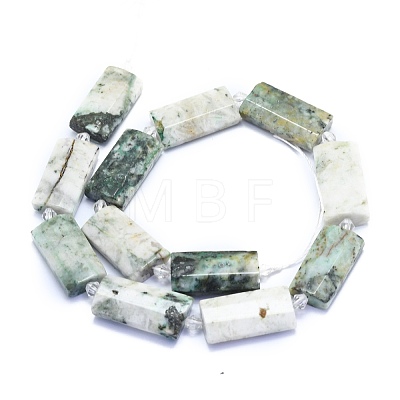 Natural Tree Agate Beads Strands G-E530-16L-1