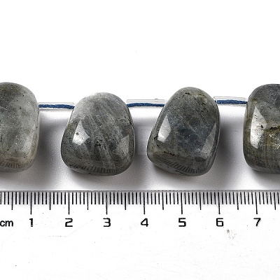 Natural Labradorite Beads Strands G-P528-E10-01-1