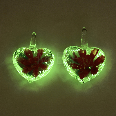 Luminous Handmade Lampwork Pendants LAMP-S189-02-B-1