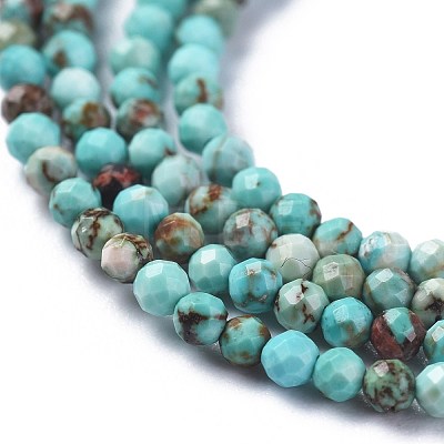 Natural Howlite Beads Strands X-TURQ-F017-01A-1