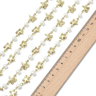 1M Handmade 304 Stainless Steel Starfish Link Chains AJEW-JB01615-03-1