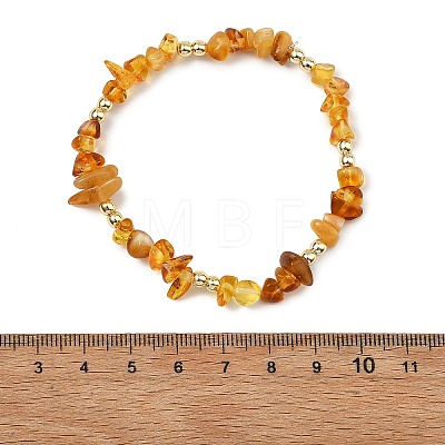 Unisex Natural & Synthetic Amber Bracelets BJEW-JB13932-1