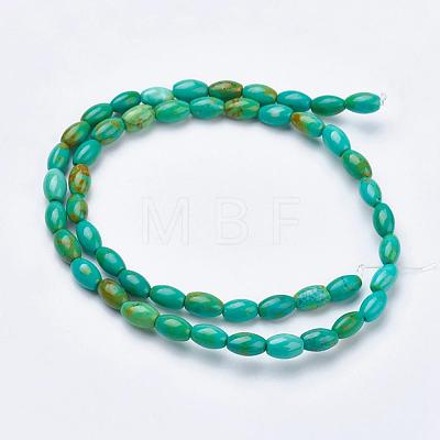 Natural Magnesite Beads Strands TURQ-K003-01A-1