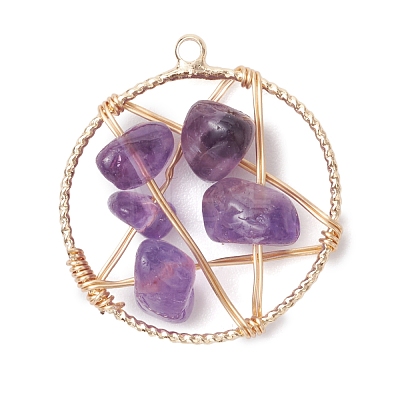 Natural Amethyst Nuggets Copper Wire Wrapped Flat Round Pendants PALLOY-JF03038-06-1