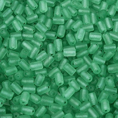 FGB Frosted Transparent Glass Seed Beads SEED-N013-05A-09-1