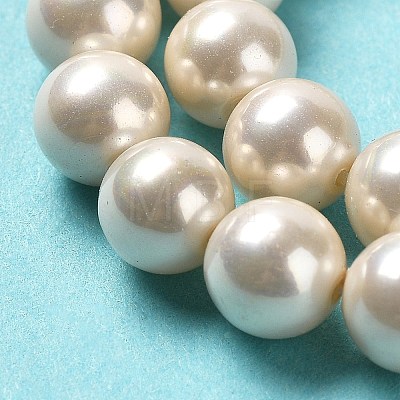 Shell Pearl Bead Strands BSHE-L025-08-6mm-01-1