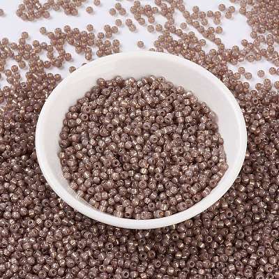 MIYUKI Round Rocailles Beads SEED-X0055-RR0641-1