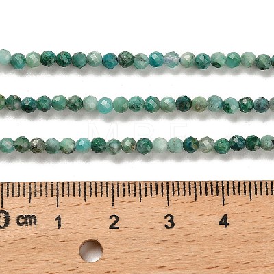 Natural Chrysocolla Beads Strands G-K373-B05-02-1