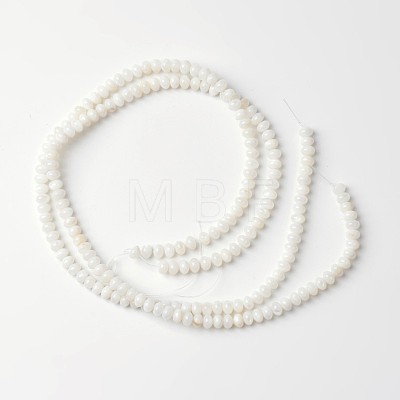 Dyed Natural Freshwater Shell Rondelle Bead Strands X-BSHE-O016-19D-1