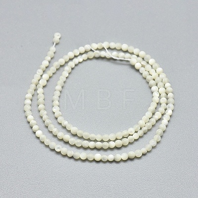 Natural White Shell Beads Strands G-A177-04-25-1