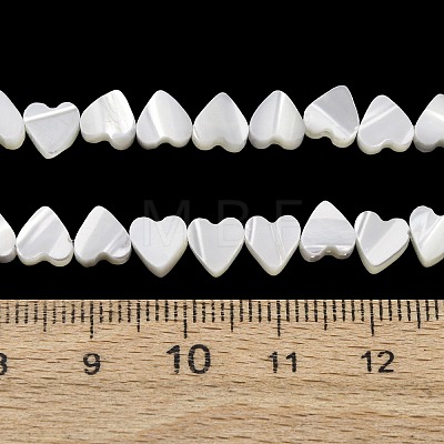 Natural Trochid Shell/Trochus Shell Beads Strands SH-CBA2978-10-1