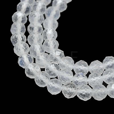 Natural Rainbow Moonstone Beads Strands G-G106-C05-02-1