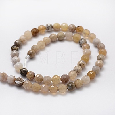 Faceted Round Natural Ocean Fossil Agate Bead Strands G-L437-04-8mm-1