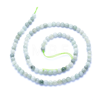 Natural Myanmar Jade/Burmese Jade Beads Strands G-I279-C02-4mm-1