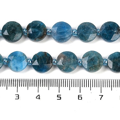 Natural Apatite Beads Strands G-C116-A28-01-1