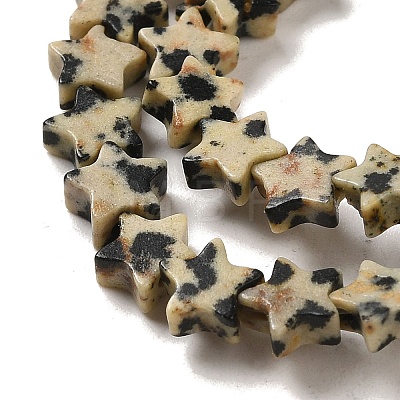 Natural Dalmatian Jasper Beads Strands G-G085-B13-02-1