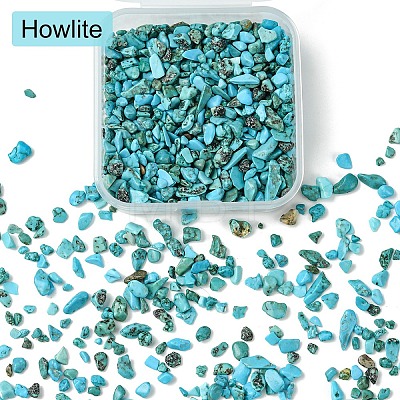 50G Natural Howlite Chip Beads G-YW0001-81-1