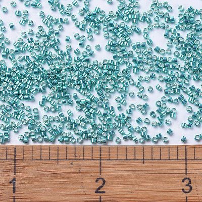 MIYUKI Delica Beads X-SEED-J020-DB0427-1
