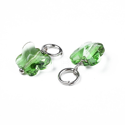 Faceted Transparent Glass Charms GLAA-T024-06G-1