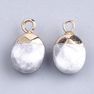 Electroplate Natural Howlite Charms X-G-S344-09F-1