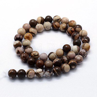 Natural Zebra Jasper Beads Strands G-I199-10-8mm-1