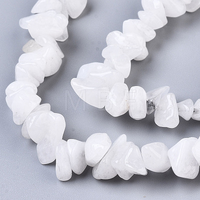 Natural White Moonstone Beads Strands G-S363-018-1