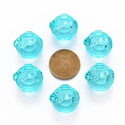 Transparent Acrylic Pendants TACR-T024-05B-946-1