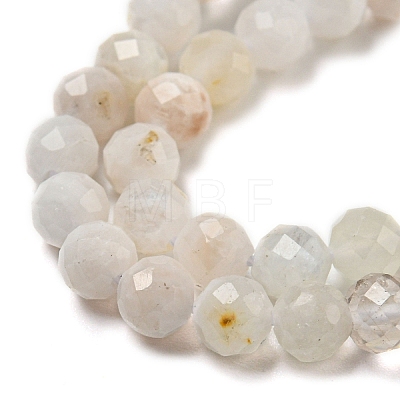 Natural Rainbow Moonstone Beads Strands G-A097-A02-06-1