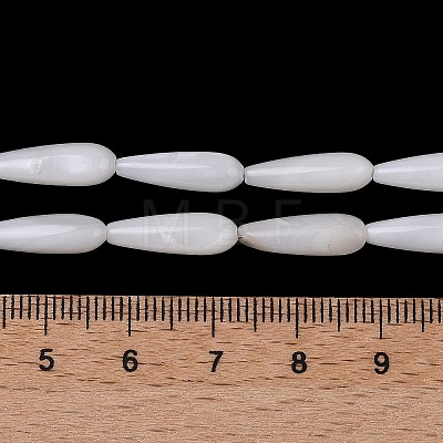 Natural Freshwater Shell Beads Strands SHEL-A004-03-1