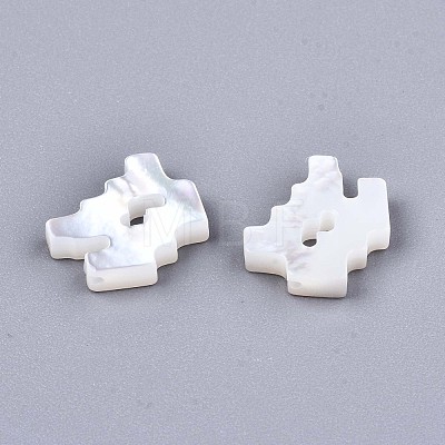 Natural White Shell Beads X-SSHEL-ZX004-02L-1