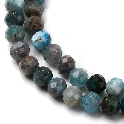 Natural Apatite Beads Strands G-A276-C08-4mm-01-1