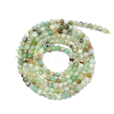 Natural Chalcedony Beads Strands G-RM250104-D9-1