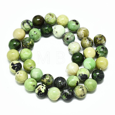 Natural Serpentine Beads Strands X-G-R485-11-10mm-1