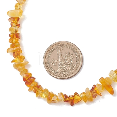 Natural Amber Chip Beaded Necklaces for Women NJEW-JN05871-1