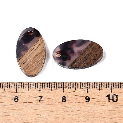 Transparent Resin and Walnut Wood Pendants RESI-T057-03B-1