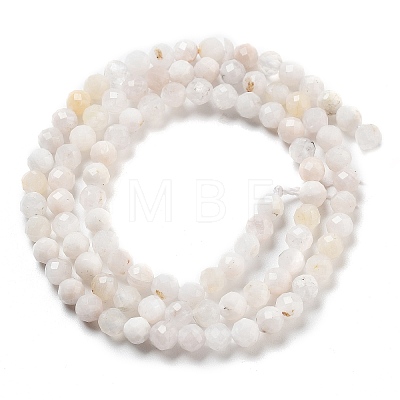 Natural Rainbow Moonstone Beads Strands G-G161-A01-03-1