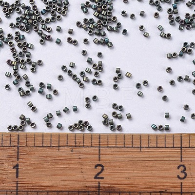 MIYUKI Delica Beads Small SEED-X0054-DBS0324-1